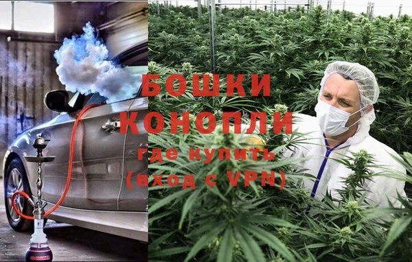 прущие грибы Пролетарск