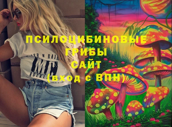 прущие грибы Пролетарск