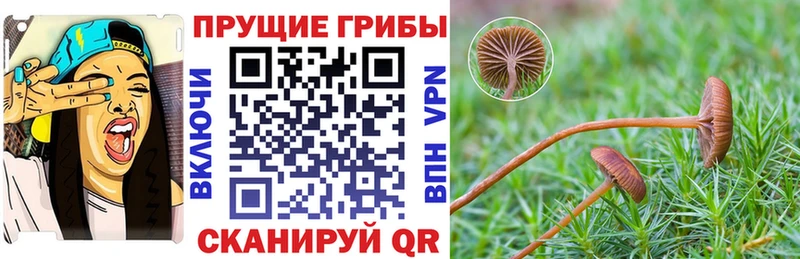 Псилоцибиновые грибы Magic Shrooms  Ак-Довурак 